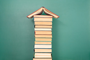 罗宾范佩西的资料！