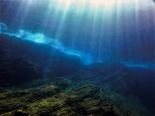 中国最大最正规的肉狗养殖基地是哪个