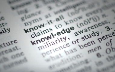 罗宾范佩西的资料！