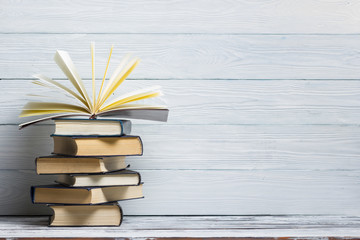 森林报读书笔记摘抄好词好句好段