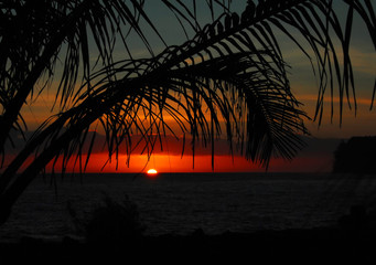 医疗机构应定期开展手卫生的全员培训医务人员应掌握什么和正确的手卫生方法