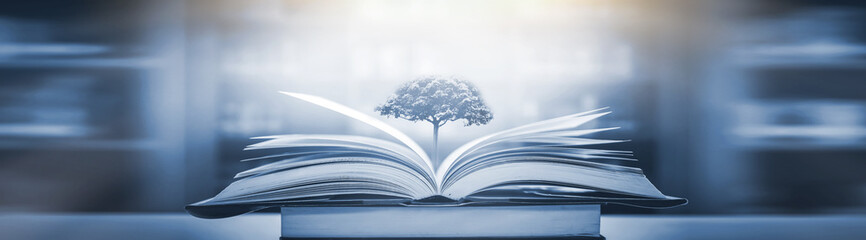 斑马阅读和叫叫阅读哪个更好