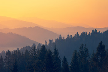 不向命运低头的名人事例