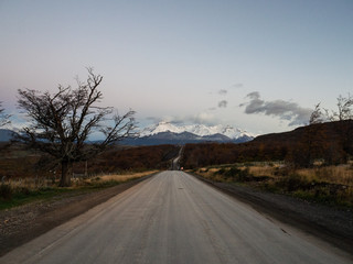 红豆象征相思的典故是什么？