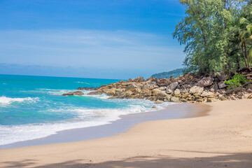 森林报读书笔记摘抄好词好句好段