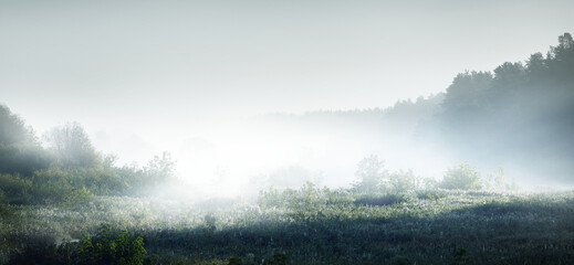 国内有哪些著名的心理学专家？