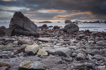 罗宾范佩西的资料！