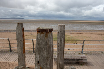 森林报读书笔记摘抄好词好句好段