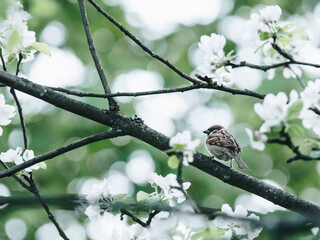 健康大讲堂主持人主持词大全