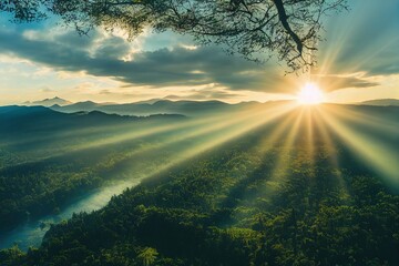 森林报读书笔记摘抄好词好句好段