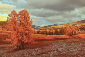 国内有哪些著名的心理学专家？
