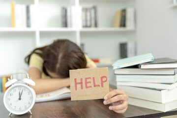 四年级读的书有哪些课外书