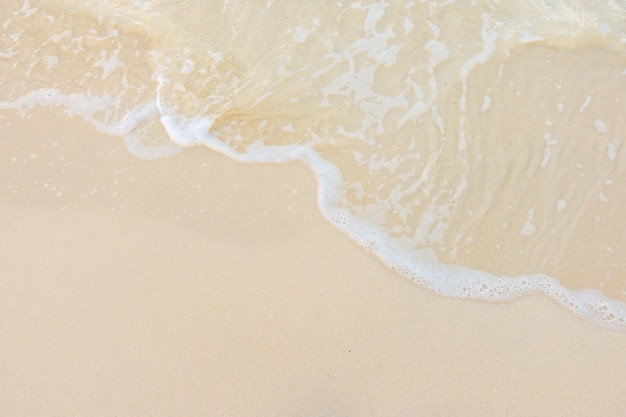 森林报读书笔记摘抄好词好句好段