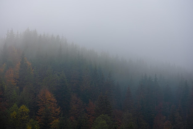 四年级读的书有哪些课外书