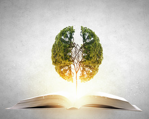 国内有哪些著名的心理学专家？