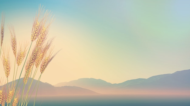 四年级读的书有哪些课外书