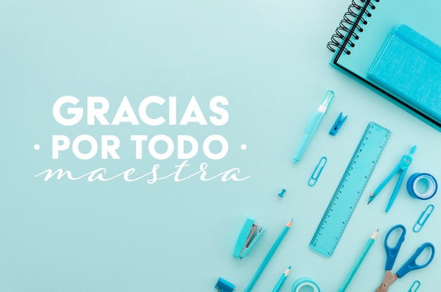 罗宾范佩西的资料！