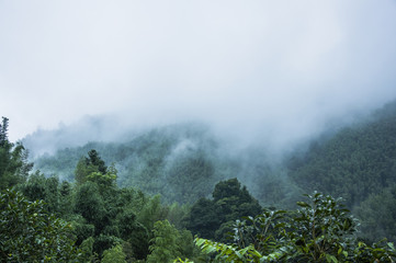 健康大讲堂主持人主持词大全